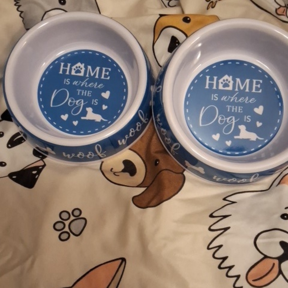 🐕Set of 2 puppy bowls